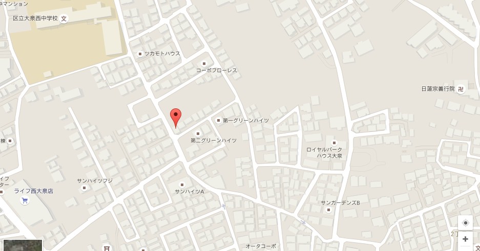 googlemap 2