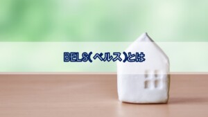 BELS（ベルス）とは!?