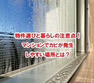 物件選びと暮らしの注意点！マンションでカビが発生しやすい場所とは？